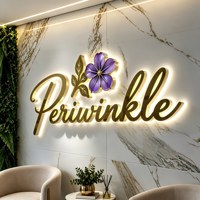 Enseigne lumineuse LED personnalisée en or, lettres 3D en métal et acrylique à canal inversé pour affichage mural de luxe en salon de beauté et spa