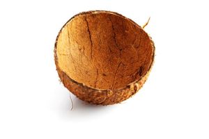 CÁSCARA DE COCO DE ALTA CALIDAD DE VIETNAM CON PRECIO BARATO/OFERTA CALIENTE EXPORTAR CÁSCARA DE COCO AL MEJOR PRECIO EN EL MERCADO DE VN - Product Image 6