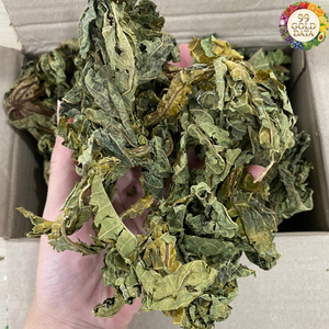 Feuilles de papaye séchées de style vietnamien, fabriquées avec du matériau naturel de feuilles de papaye, pour les boissons et la transformation - Product Image 2