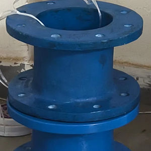 Raccord de tuyau en fonte ductile Double bride pièce courte bleu rond poli qualité d'exportation produit Durable - Product Image 1