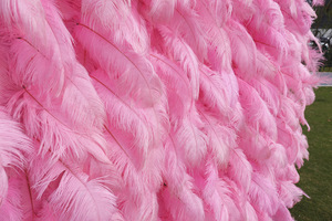 Autocollant de pissenlit pour toile de fond blanche suspendue de mariage <span class=keywords><strong>fleurs</strong></span> pour panneaux muraux de <span class=keywords><strong>fleurs</strong></span> mur de plumes roses - Product Image 5