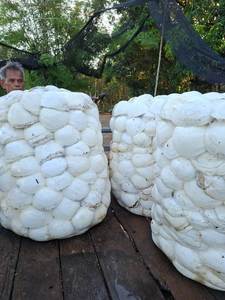 Caoutchouc naturel brut en mèche pour moulage - Qualité médicale blanche - Product Image 2