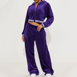 Nueva llegada al por mayor de las mujeres personalizadas conjuntos de las mujeres de otoño e invierno deportes Crop Zip sudaderas con capucha de terciopelo Pantalones deportivos Conjuntos Casuales - Product Image 3