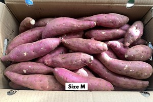 IQF Peeled Oriental <b>Pickling</b> Sweet Potato Tuber Special Shape Frozen Fruit Grade Vietnam Origin Bulk Vacuum <b>Pack</b> for Cooking - Product Image 4