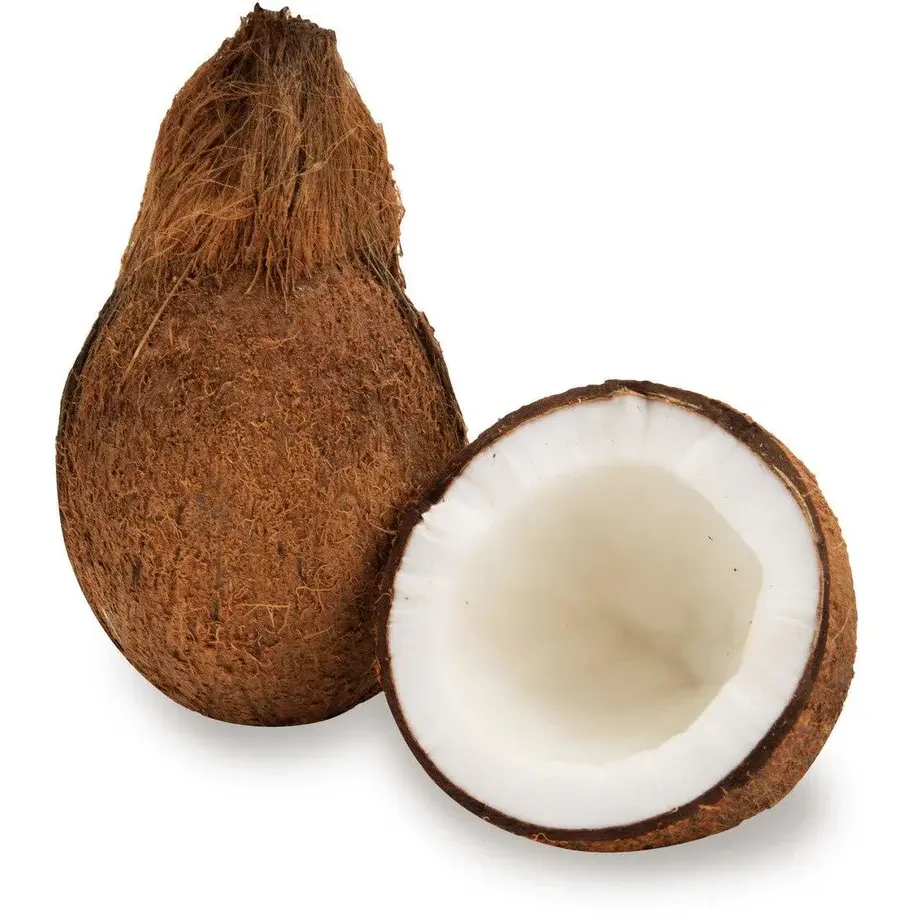 Экспорт Свежих зрелых очищенных кокосов из Малайзии