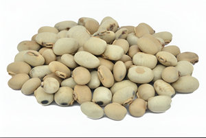 Polvo de semilla de Kharbuja de melón orgánico de alta calidad, extracto de hierbas naturales en cultivo salvaje de grado alimenticio, tambor empaquetado a buen precio - Product Image 5