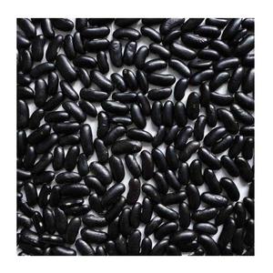 Vente en gros de haricots noirs biologiques séchés Haricots noirs - Product Image 2