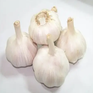 Ajo fresco de alta calidad 6,0 cm Venta al por mayor de alto fabricante nuevo mejor material con tarifa barata - Product Image 3
