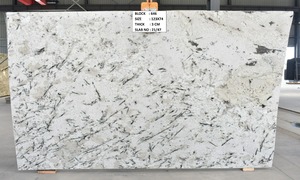 Encimera de cocina de granito blanco Alaska de alta calidad, tamaño personalizado, diseño moderno pulido con villas de estilo lavado al fuego suave - Product Image 2