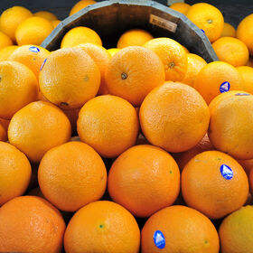 High Quality Juicy <b>Sweet</b> Citrus Fresh Tangerines From France <b>3kg</b> in Discounted Price - Product Image 2