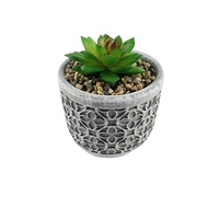 Vente en gros de plantes vertes artificielles en pot, petits arbres verts en ciment pour la décoration de la maison et du jardin, pots à herbes, graines et fleurs