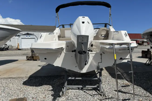 Bateaux Whaler 210 Vantages de haute qualité 2025 disponibles pour l'expédition mondiale - Product Image 2