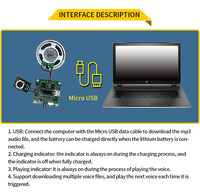 Module Sonore MP3 Vocal 8Mo Téléchargeable par USB avec Bouton Poussoir, Top Vente, pour Cadeau de Noël DIY