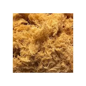 Prix bon marché 100% Oragnic naturel de haute qualité mousse de mer d'or/mousse irlandaise/mousse séchée au soleil-De l'exportateur du Viet Nam