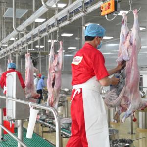 Équipement avancé <span class=keywords><strong>d</strong></span>'abattoir <span class=keywords><strong>d</strong></span>'<span class=keywords><strong>agneau</strong></span> et de moutons avec composant de noyau de moteur pour la transformation de la viande <span class=keywords><strong>halal</strong></span> - Product Image 4