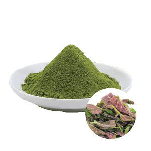 POLVO FINO DE HOJA DE PERILLA/OPCIÓN A BASE DE PLANTAS/COLOR Y SABOR NATURAL - Product Image 6