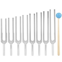 Stainless Steel Silver Manual Diagnostic Physics Outdoor Packaging Tuning Fork Set 8 Tuning Forks 136.1HZ CE Certified Class I