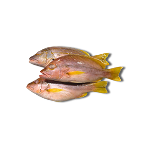 Pargo Rojo Entero Congelado, Mariscos de Primera Calidad, IQF a Granel, Origen Vietnam, Envasado al Vacío, 24 Meses de Vida Útil - Product Image 6