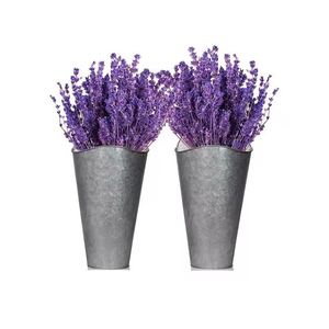 Diseño atractivo Maceta de metal galvanizado Plantas Hierbas Contenedor Forma redonda Tamaño personalizado para gran oferta - Product Image 6