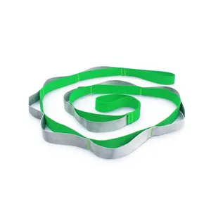 Correa Elástica de Yoga 2026 para Estiramiento de Ligamentos, Cinturón de Yoga para Fisioterapia - Product Image 1