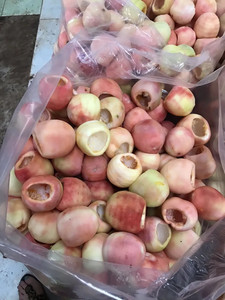 Delicious Snack Food-Fruta seca Max Moisture 23% Dulce en rodajas Fruta de la Pasión seca suave de Vietnam/Sra. Lima - Product Image 3