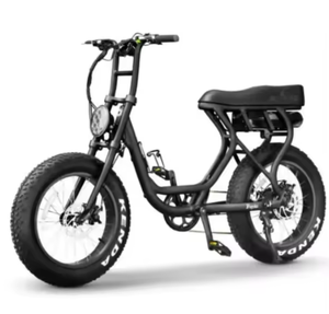 Bicicleta Eléctrica Plegable Profound Best Sales de 14 Pulgadas, DYUui D3f 36V 250W, Bicicleta Deportiva con Ruedas para Adultos, Bicicleta Eléctrica - Product Image 1