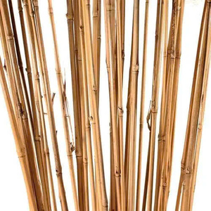 Canne en rotin brut poli Canne en rotin Matériau flexible durable et durable du Vietnam Matériau en rotin en gros - Product Image 5