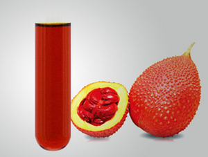 GAC ผงผลไม้100% GAC ผู้ผลิตจากเวียดนาม - Product Image 5