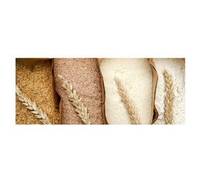 Semoule de blé dur abordable à vendre, parfaite pour la cuisson des pâtes et les créations culinaires, faites maintenant des stocks à bas prix - Product Image 4