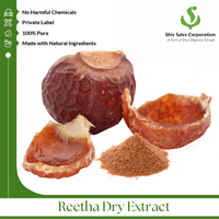 Poudre sèche Reetha extraite naturelle pour applications cosmétiques Fourniture B2B avec des solutions d'emballage flexibles