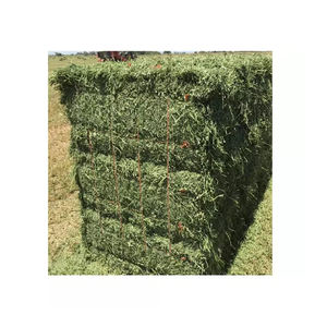 หญ้าแห้งอัลฟัลฟาลูเซิร์นสำหรับเลี้ยงสัตว์เลี้ยงวัวม้าวัวไก่ - Product Image 1