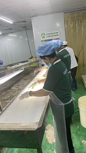 Vietnam Origin Coconut Jelly | Consistent Texture | Wholesale - Product Image 3