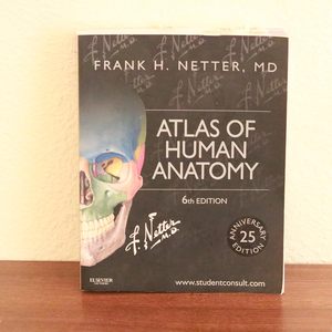 Atlas d'anatomie humaine, édition brochée, Netter, sciences de base |   Guides interactifs Student Consult (approvisionnement en gros) - Product Image 1