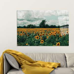 Impression sur toile Champ de tournesols : Art mural de cuisine sur le thème de la nature, ART SUR VERRE TÉMPERÉ - Product Image 1