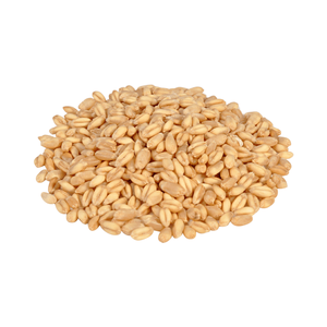 ข้าวสาลีดูรัมจำหน่ายในปริมาณมากสำหรับผู้ซื้อขายส่งในราคาที่คุ้มค่า - Product Image 5