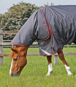 Mantas para Caballos Premium Personalizadas, Manta de Exterior para Deportes Ecuestres, Manta Impermeable y Transpirable para Caballos, Proveedor - Product Image 5