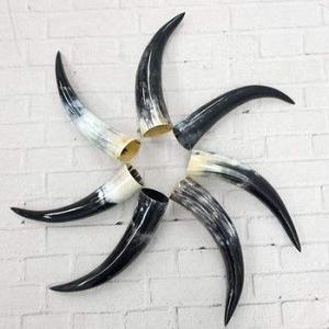 Corne à boire de buffle fabriquée à la main écologique de qualité supérieure Buffalo Viking Corne à boire Design élégant - Product Image 4