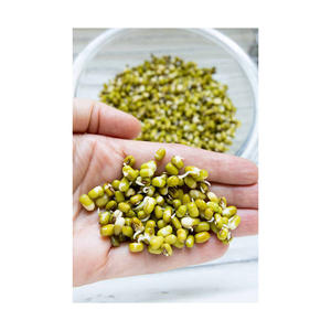 Low price <b>Vigna</b> Mung <b>Beans</b> bulk supply wholesale fresh harvest - Product Image 3
