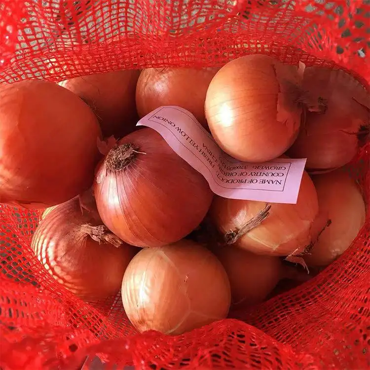 Comprar nueva cosecha mejor cebolla fresca con buen precio cebollas amarillas y cebolla roja fresca para la exportación precio al por mayor