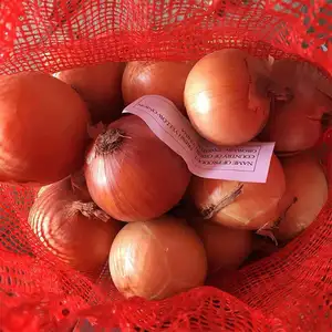 Buy new crop Best Fresh Onion with good price yellow onions and red onion fresh for export wholesale price