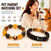 Collier tressé perlé réglable de luxe personnalisé pour animaux de compagnie et bracelet assorti pour parents, avec bracelet tendance