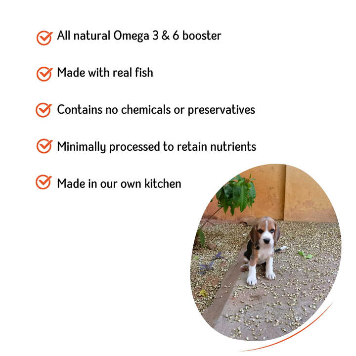 All-Natural Fish Supplement Powder for Dogs Omega 3 and 6 Boost Pet Health Care & Supplements