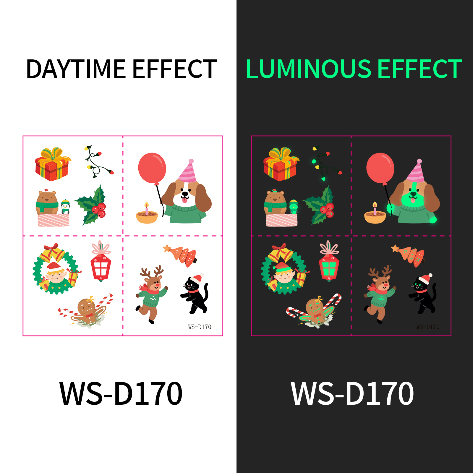 WS-D170