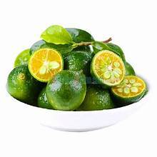 JUGO KUMQUAT CONGELADO EN FRÍO INFUSIÓN DE CÍTRICOS DE ETIQUETA LIMPIA PARA APOYO A LA SALUD INMUNE A BASE DE PLANTAS - Product Image 5