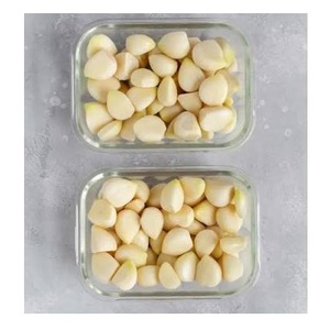 Ail congelé de haute qualité, ail haché en morceaux, achat en gros, fabricant exportateur - Product Image 3