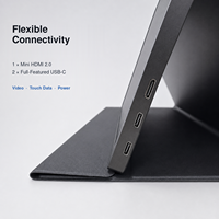 Moniteur portable fin de 15,6 pouces, FHD 1080P, 740g, USB C, deuxième écran externe pour ordinateur portable, idéal pour les professionnels