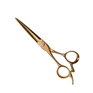 Tijeras de peluquero con mango de acero inoxidable para salón profesional, hoja de acero inoxidable para suministros de salón de belleza - Product Image 1