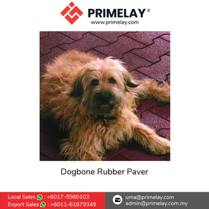 แผ่นยางรองพื้นรูปทรงกระดูกสุนัขสำหรับเดินเส้นทางเล่นกีฬาสวนสนุก - Product Image 3