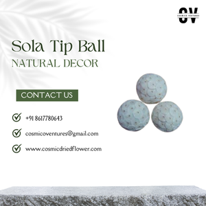 Balle de pointe Sola de qualité supérieure populaire pour bricolage mariage maison événement décor de bureau et Arrangement de fleurs séchées - Product Image 5