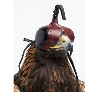 Custom Designs Soft Leather Falconry Hood Red Black Durable Portable <b>Foldable</b> Hunting Equipment Birds One Size Outdoor Use - Product Image 6